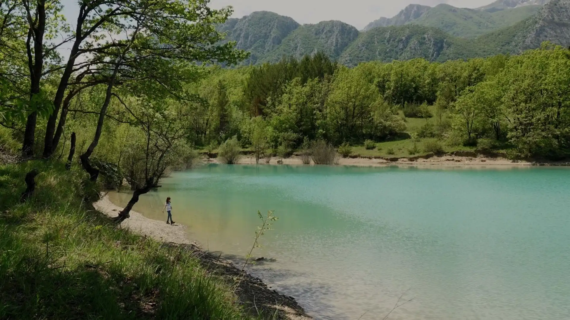 "Salviamo il lago con i nostri ricordi". Quarta carrellata di foto inviate dai nostri lettori per la nostra campagna mediatica. Gli scatti di Franca Pontarelli, Stefano D’Alessio, Anna Alesi e Roberto Bravi.